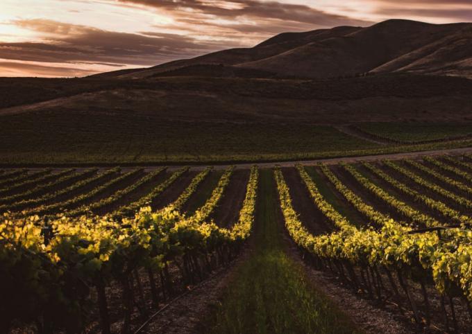 JB's Wine & Brewery Tours